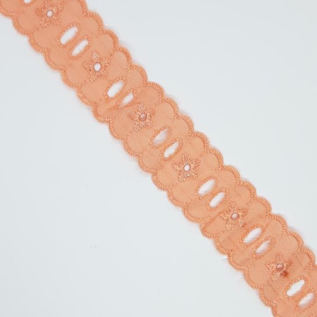 Tira bordada seda con pasacinta 2,5 cms 