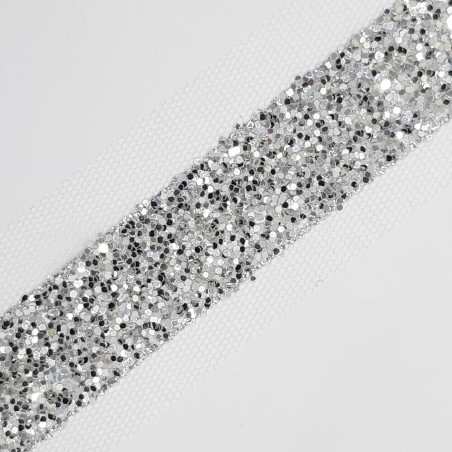 Pasamanería fantasía plata con tul.