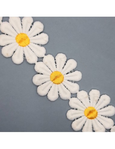 Galón flores margaritas 