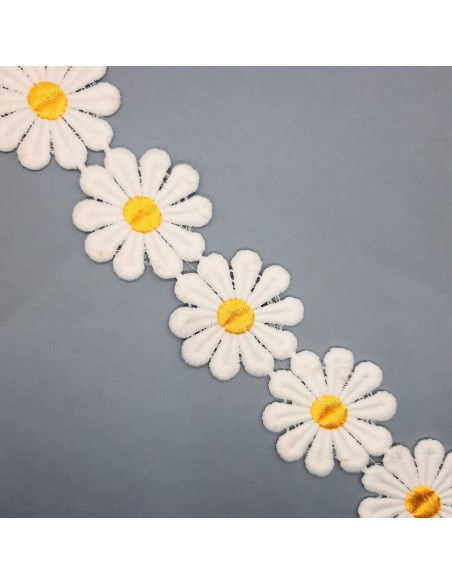 Galón flores margaritas 